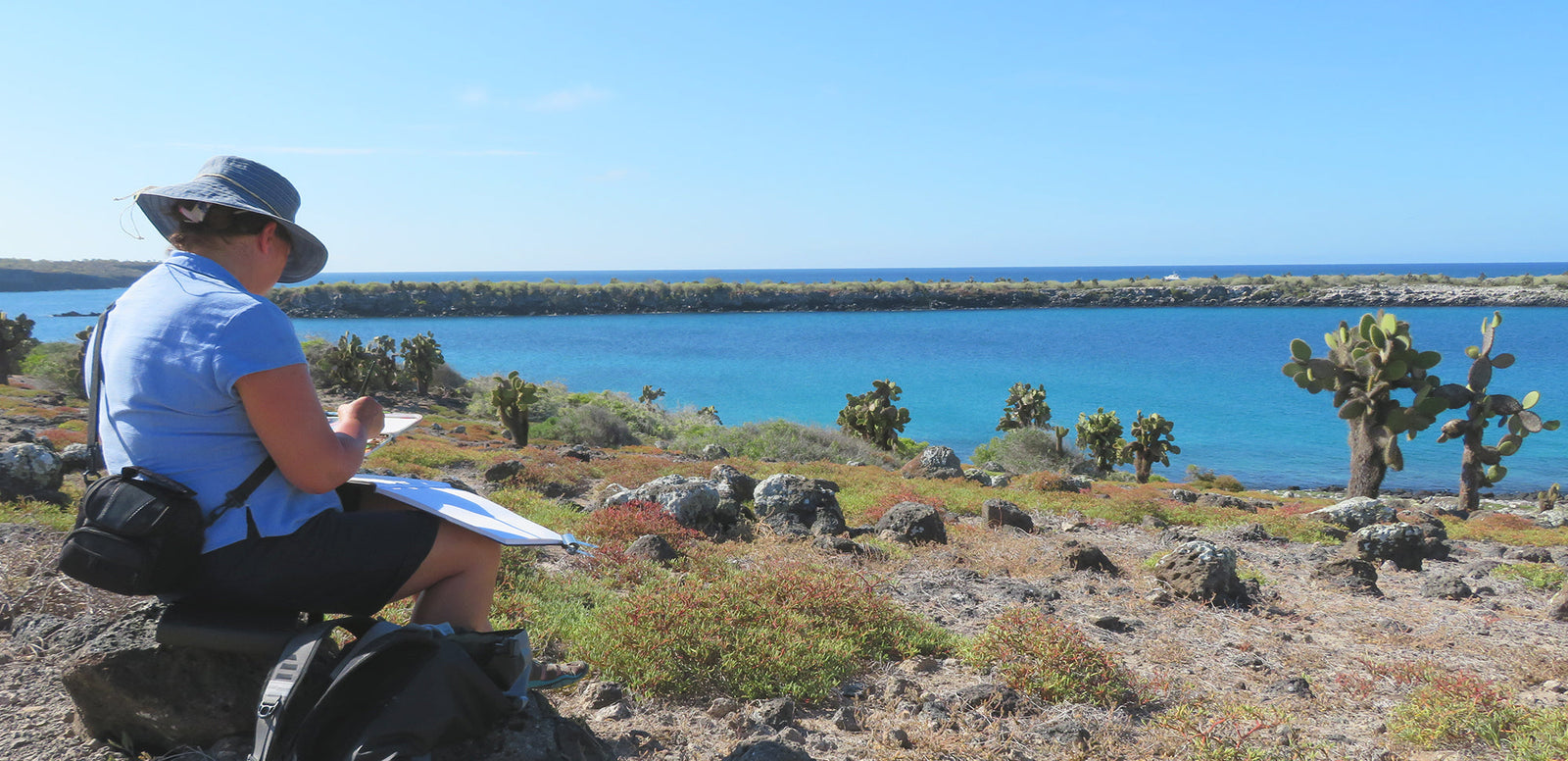 Galapagos Art Safari - Turquoise Waters & Unique Wildlife