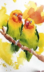 Can we LEARN to MIX ANY COLOUR we want? (Part 2)