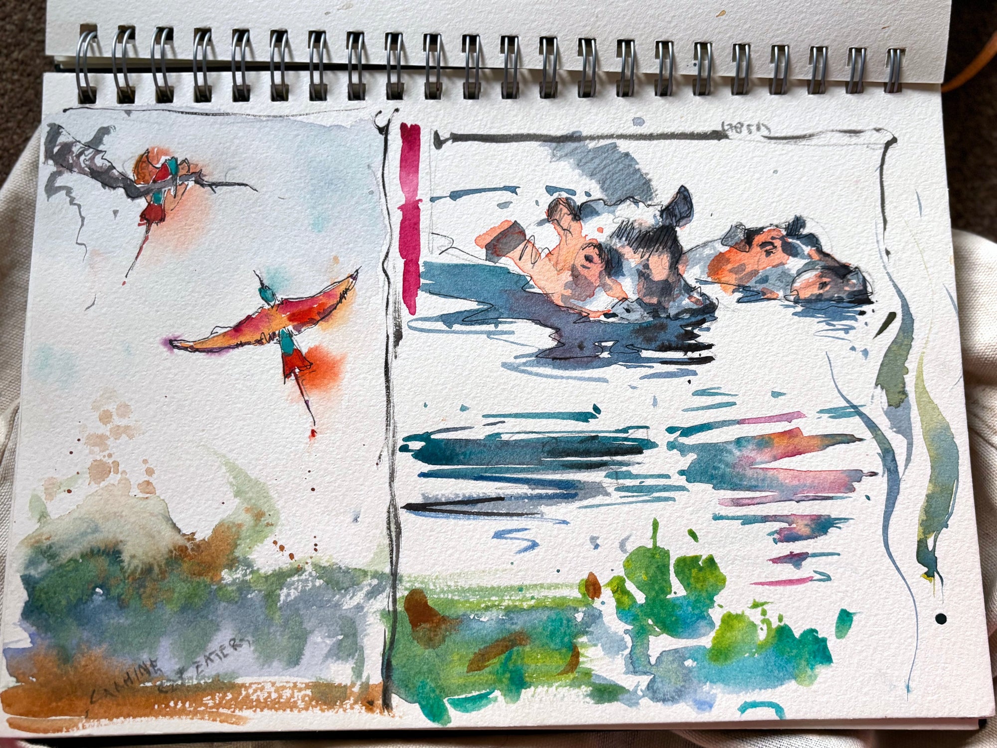 Zambia Art Safari - Mystical Leopards & African Dreamscapes