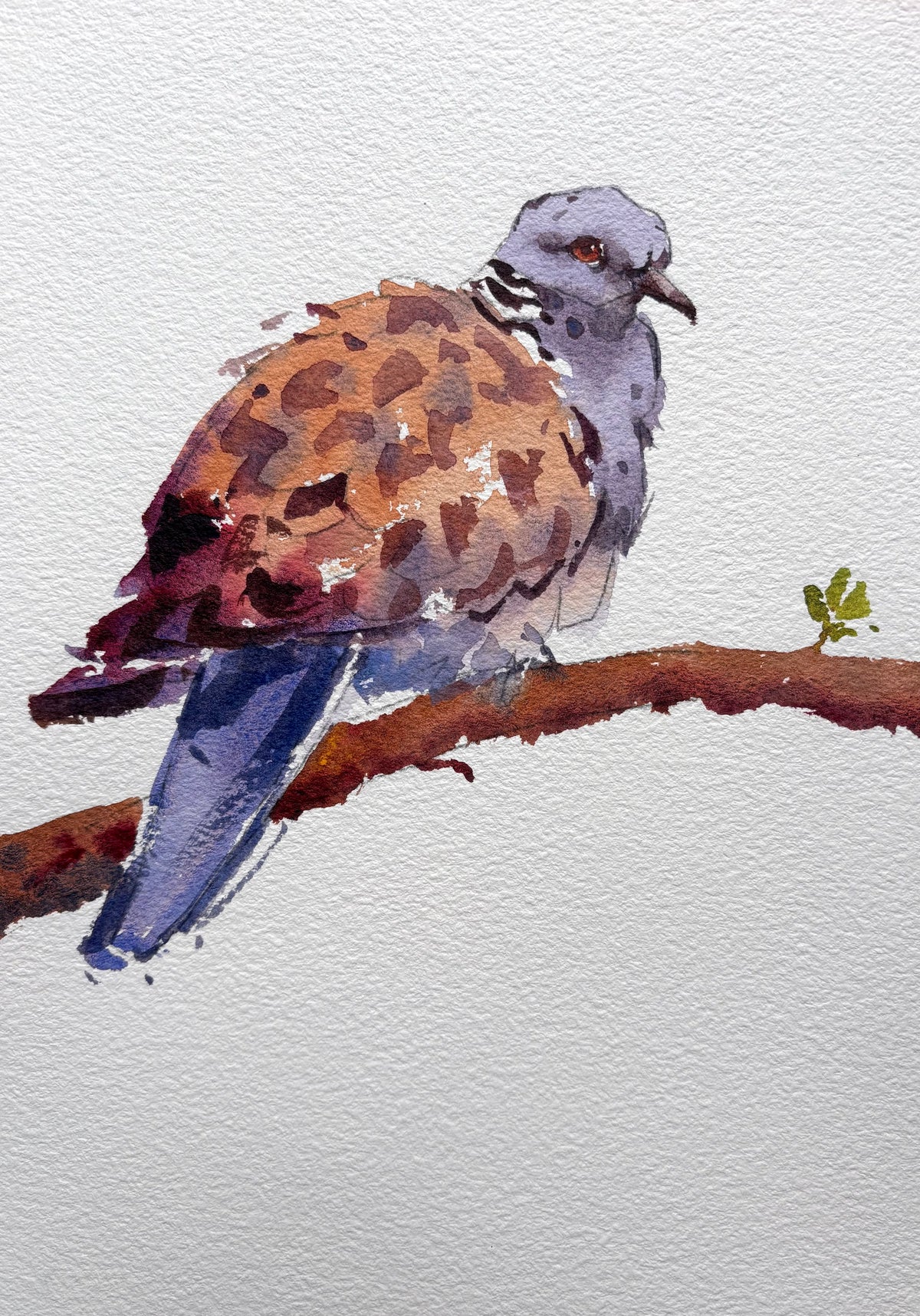 Summer Sale - Featured Painting 13