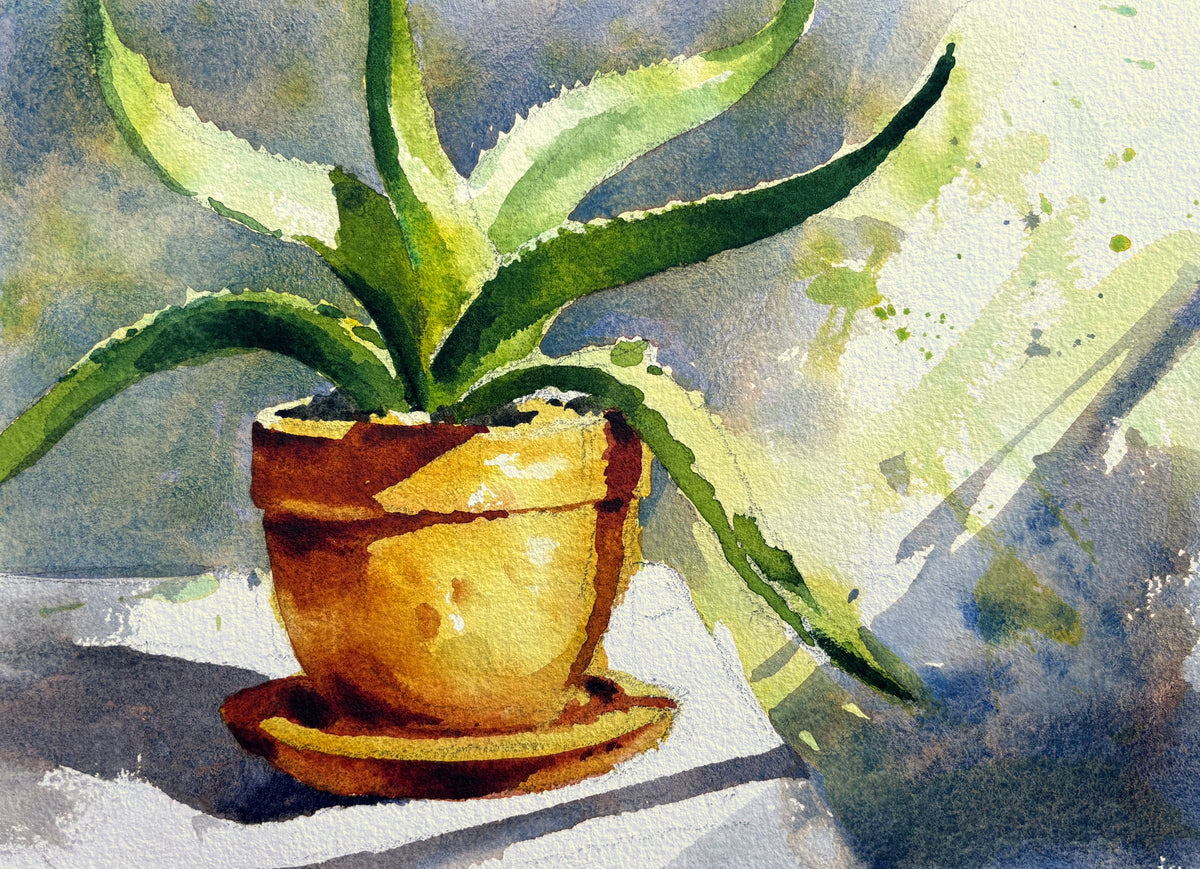 Summer Studio Sale (8)