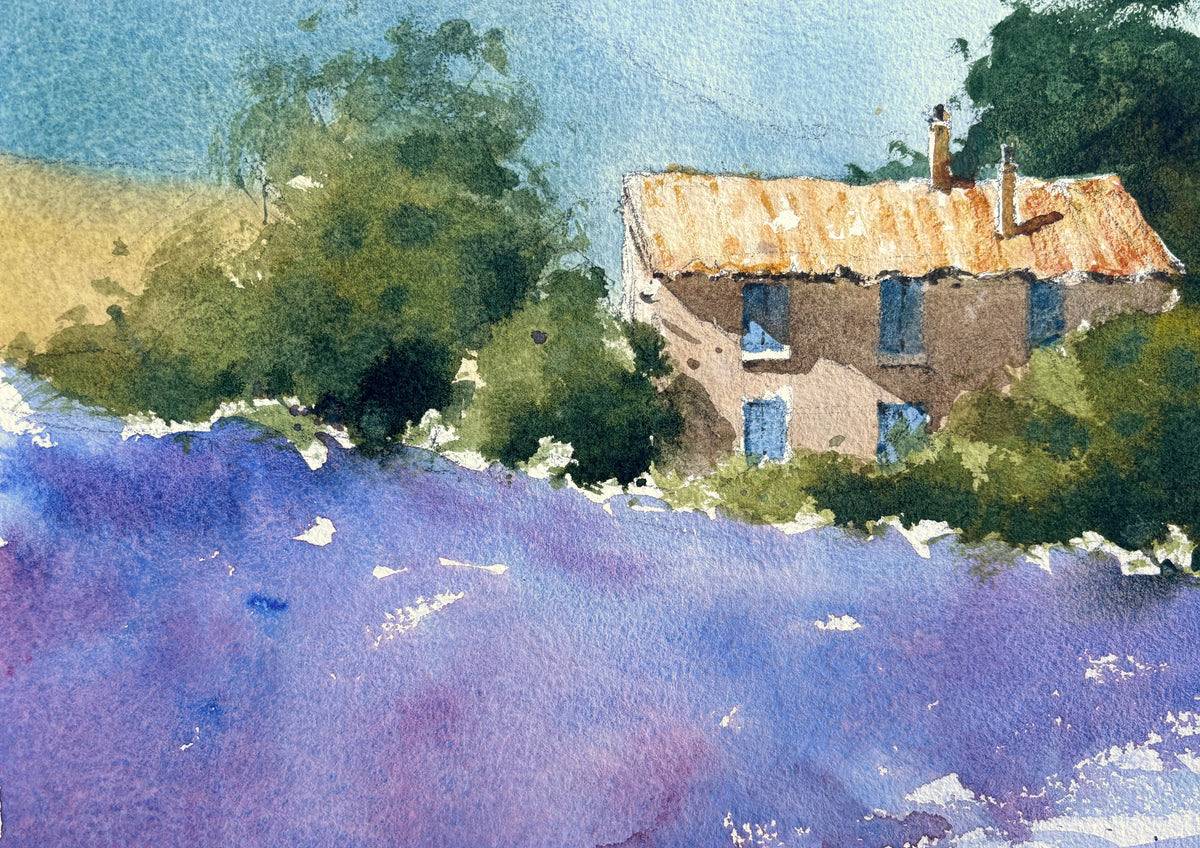 Summer Studio Sale (17)