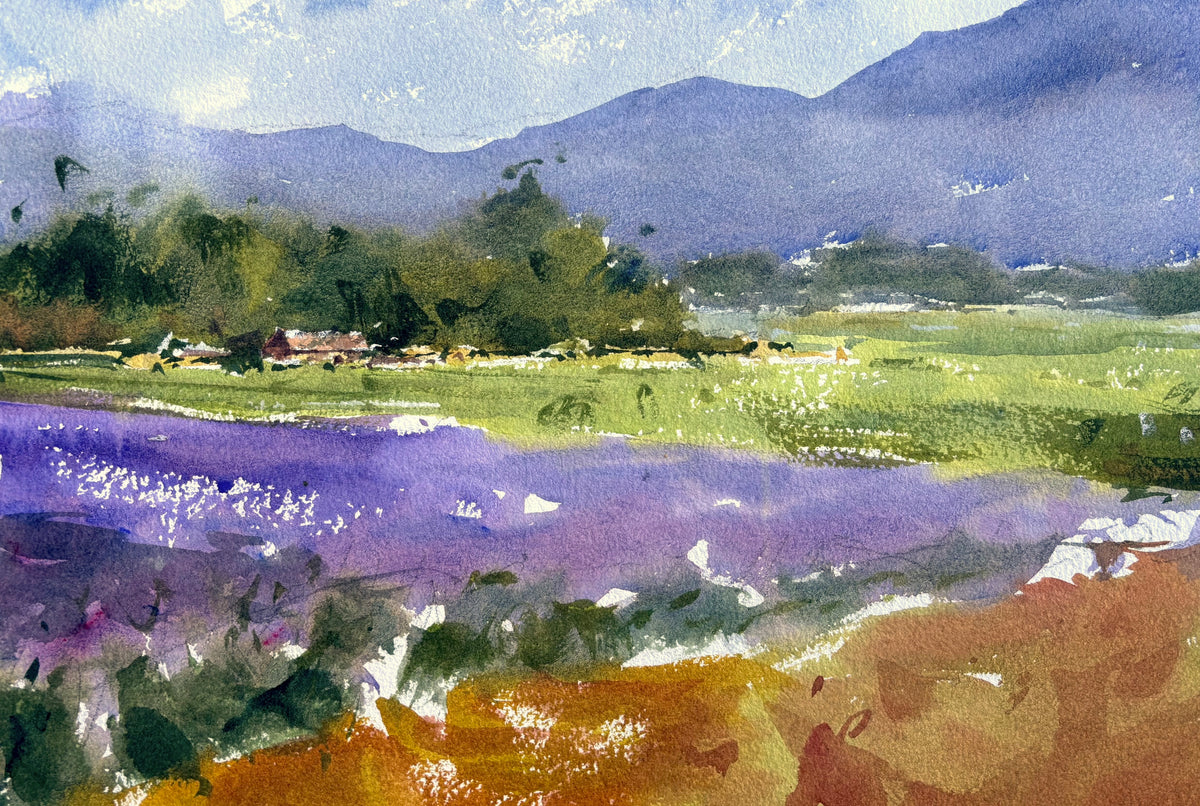 Summer Studio Sale (22)