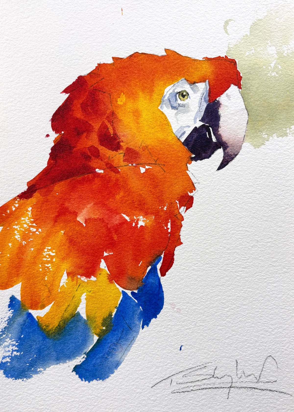 Summer Studio Sale (54)