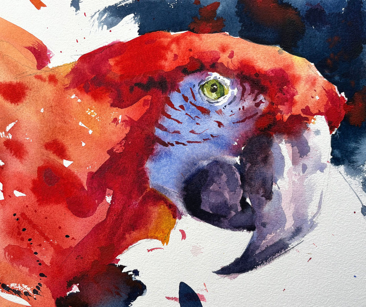 Summer Studio Sale (46)