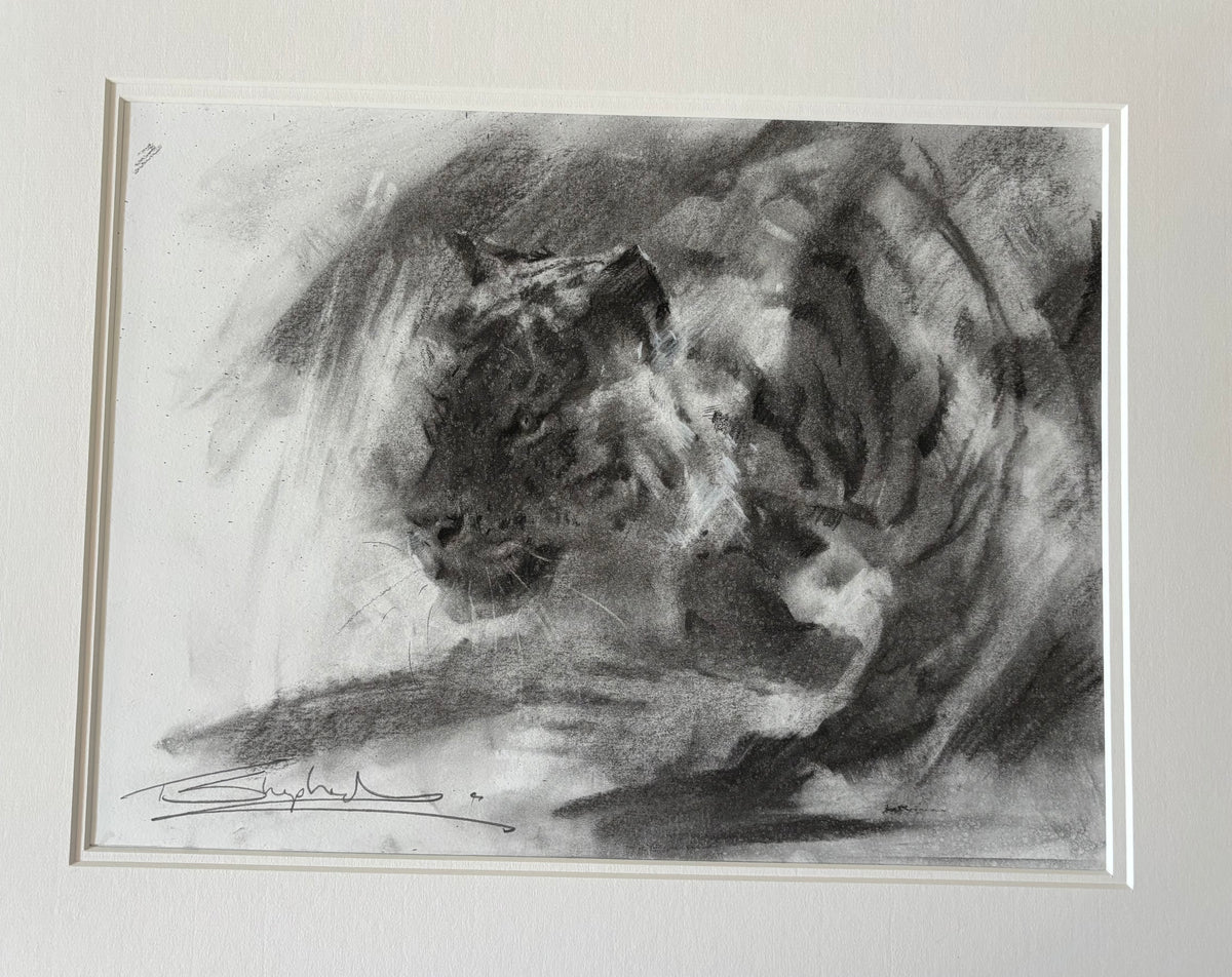 Summer Studio Sale (41)