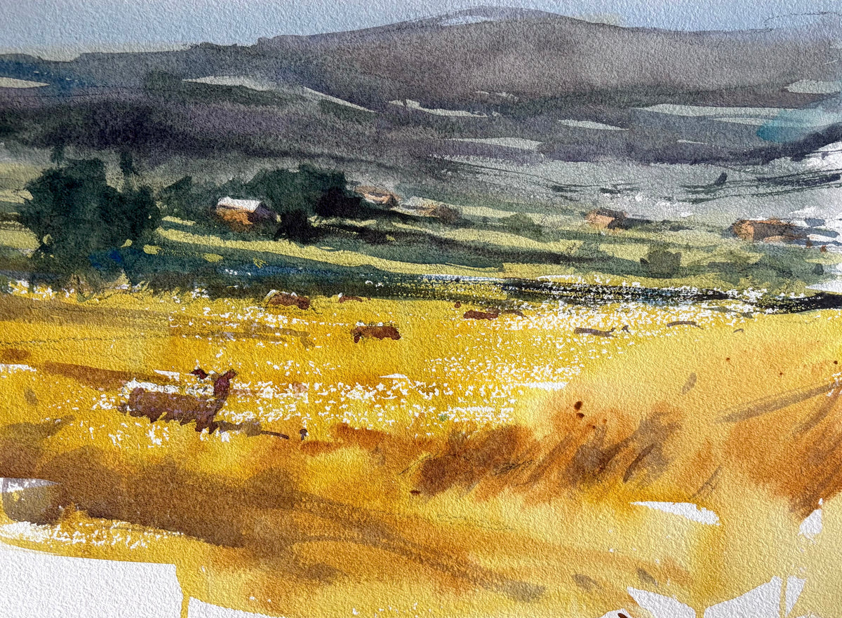 Summer Studio Sale (102)