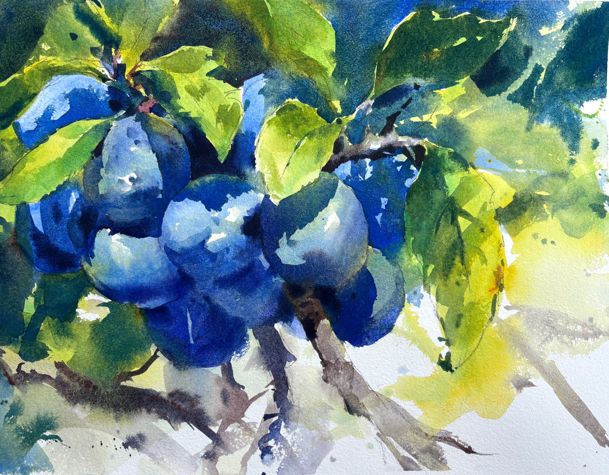 Summer Studio Sale (167)