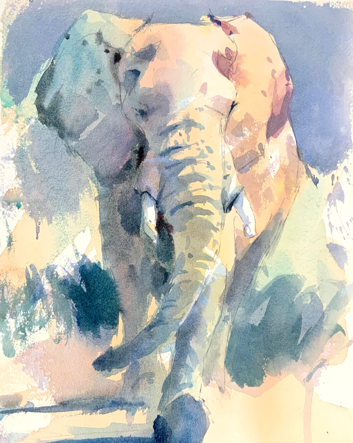 Elephant Walking