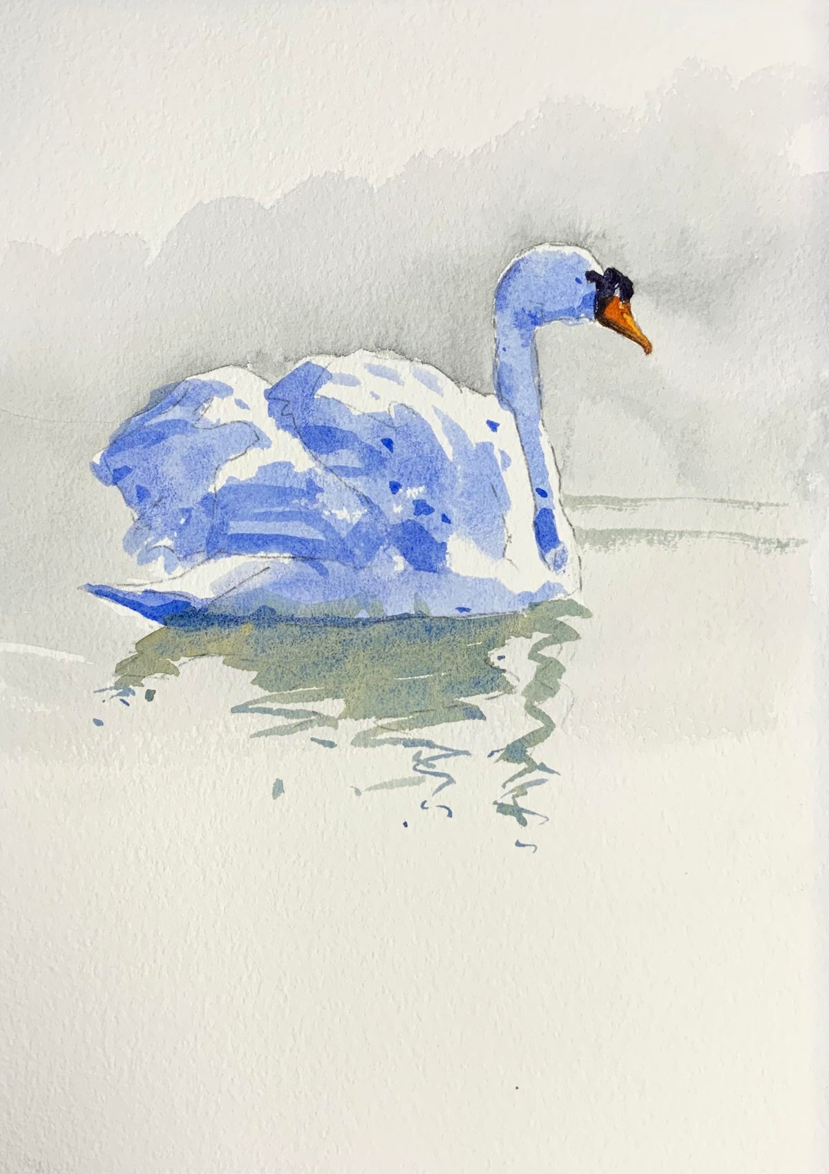 Swan