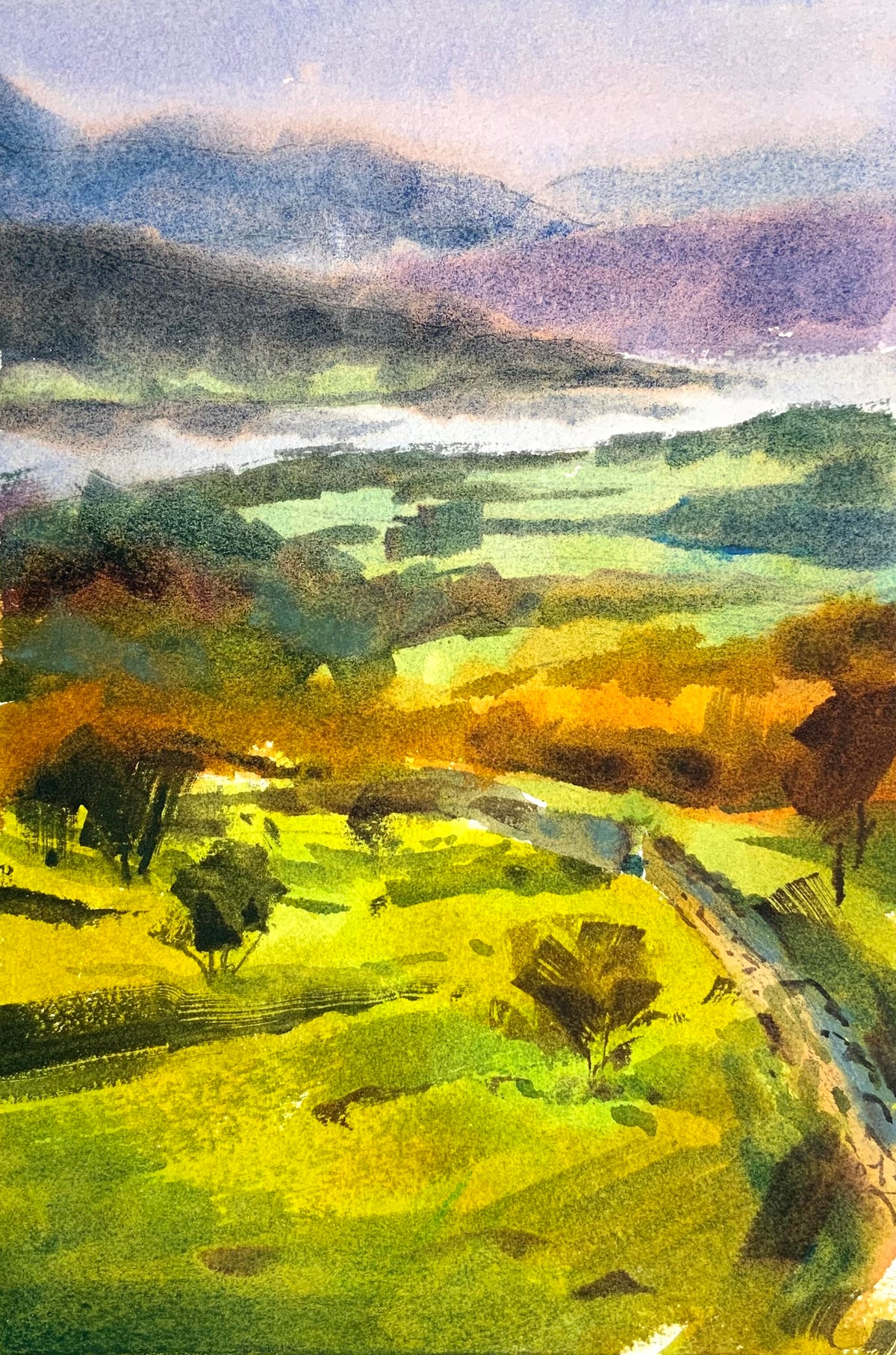 Green Fields