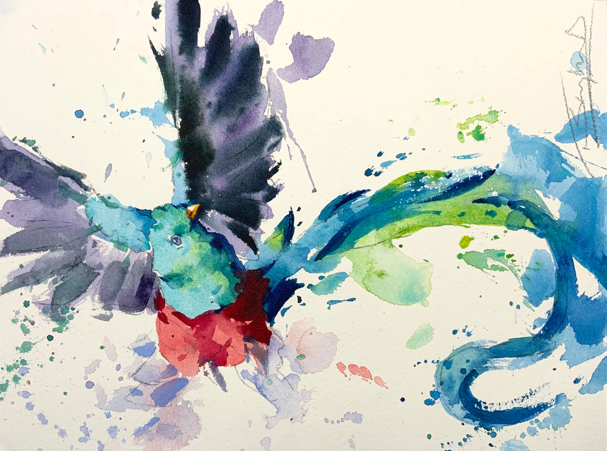 Resplendent Quetzal