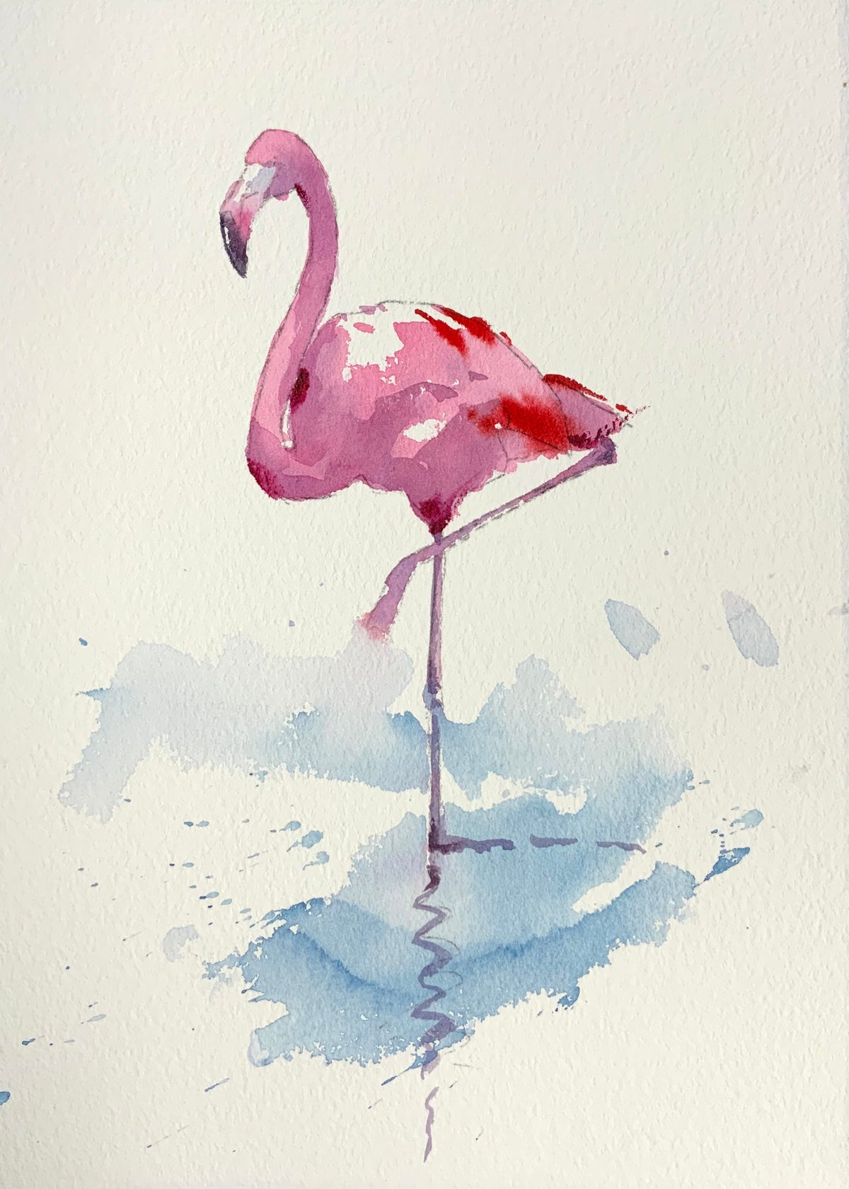 Standing Flamingo