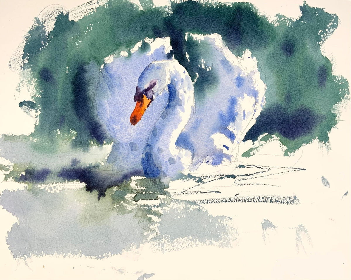Swimming Swan