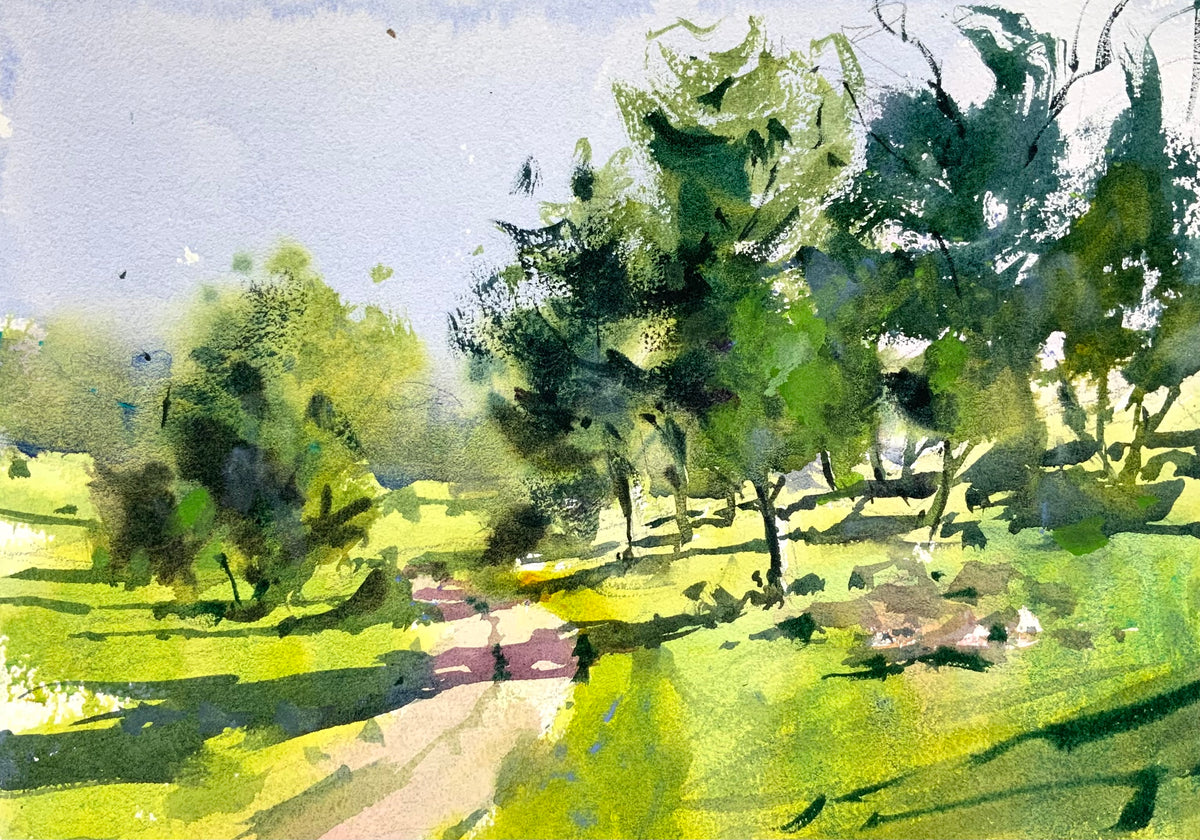 Green Trees Along The Lane