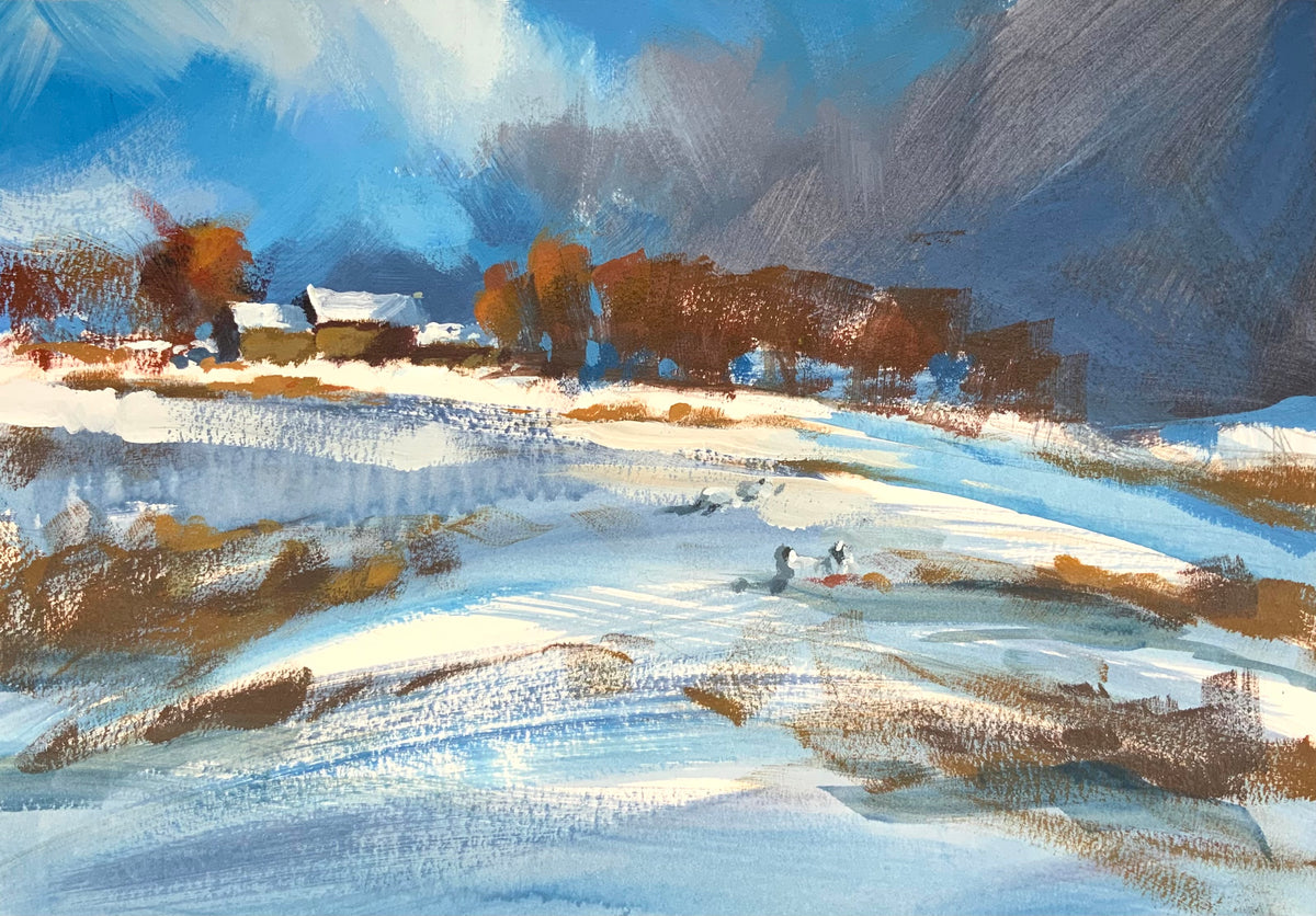 Snowy Field