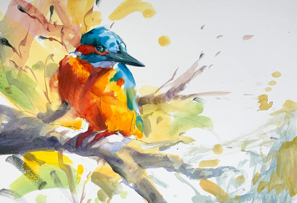 Kingfisher