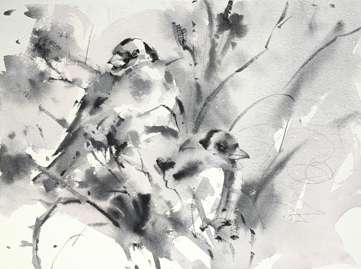 Greyscale Birds