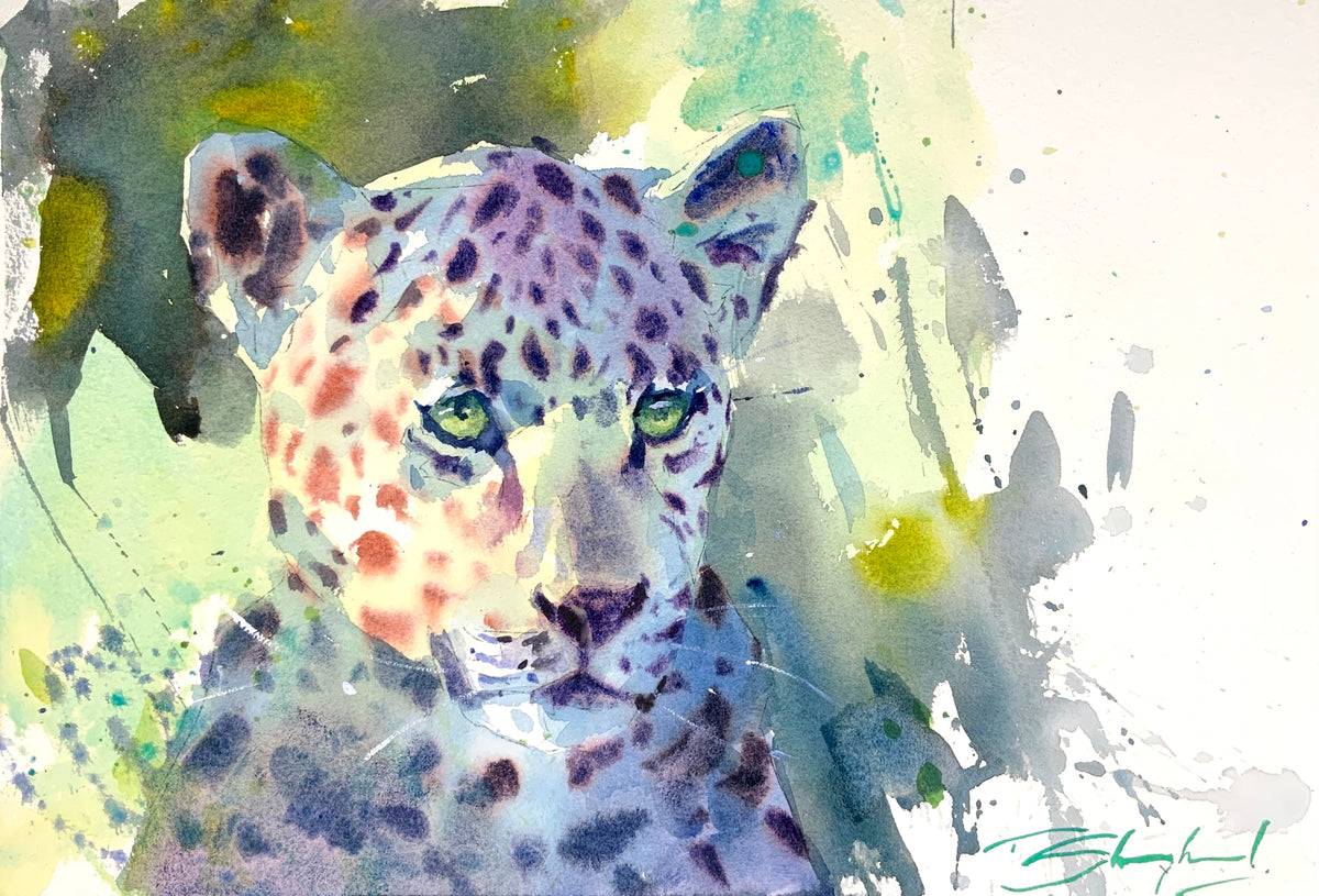 Leopard