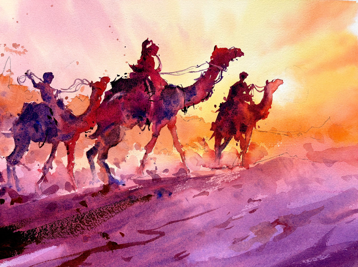 Camels In The Evening Sun