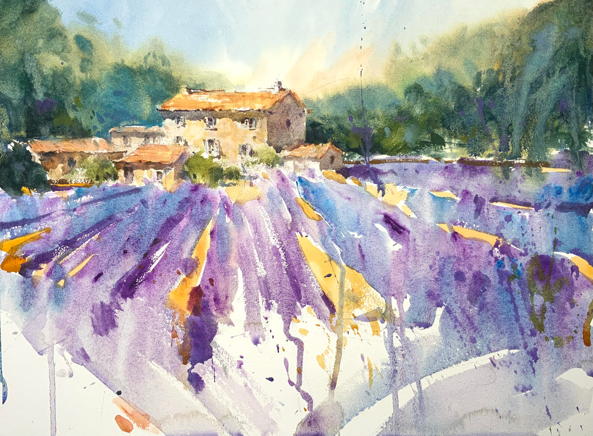 Lavender Field With House