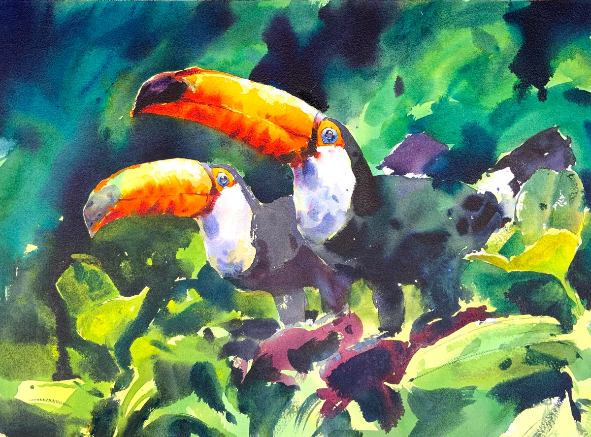 Two Toucans