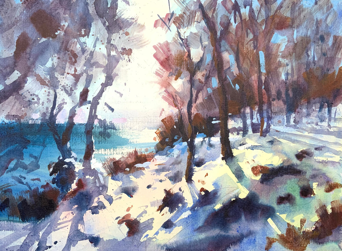Snowy Woods