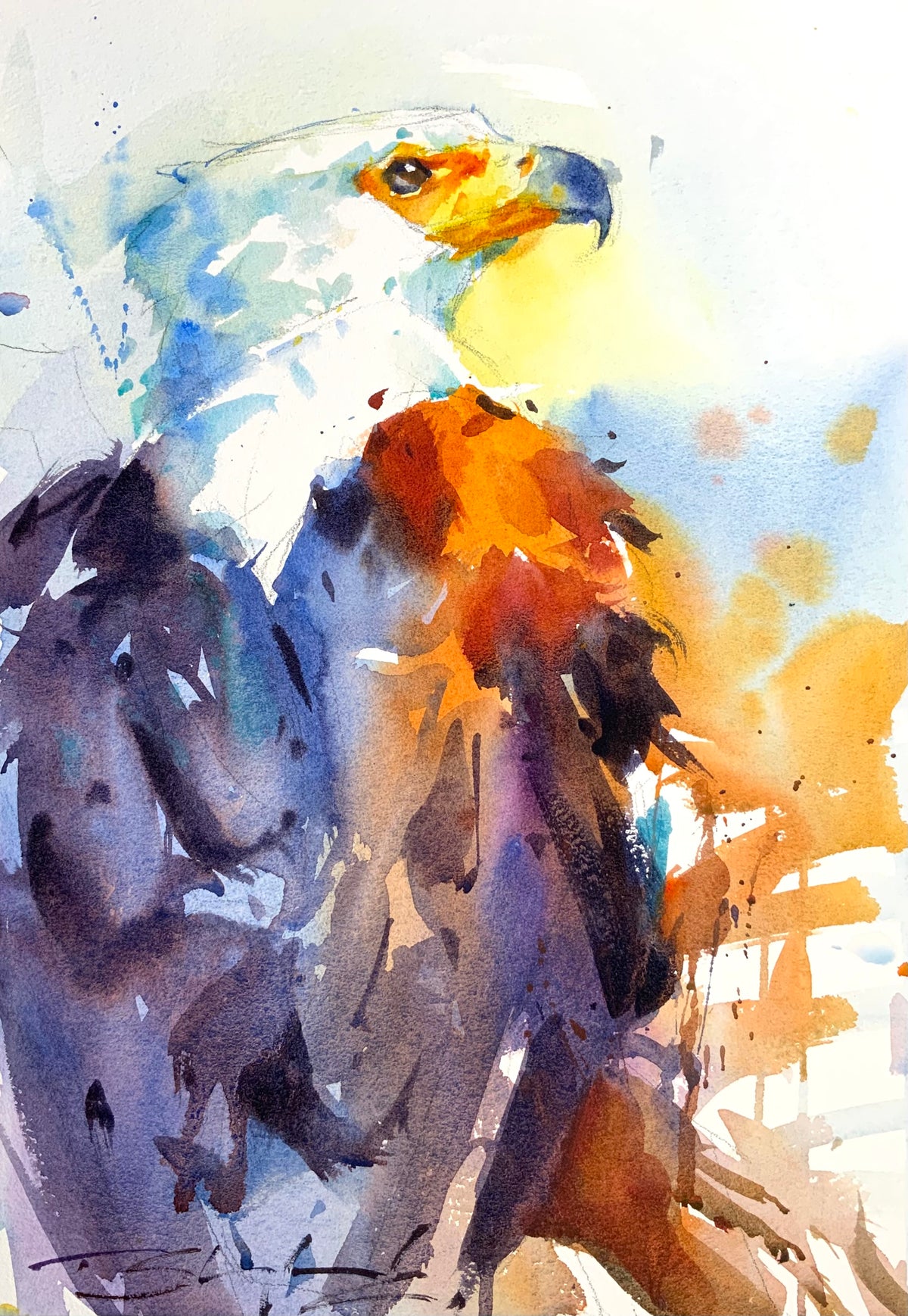Eagle Portrait