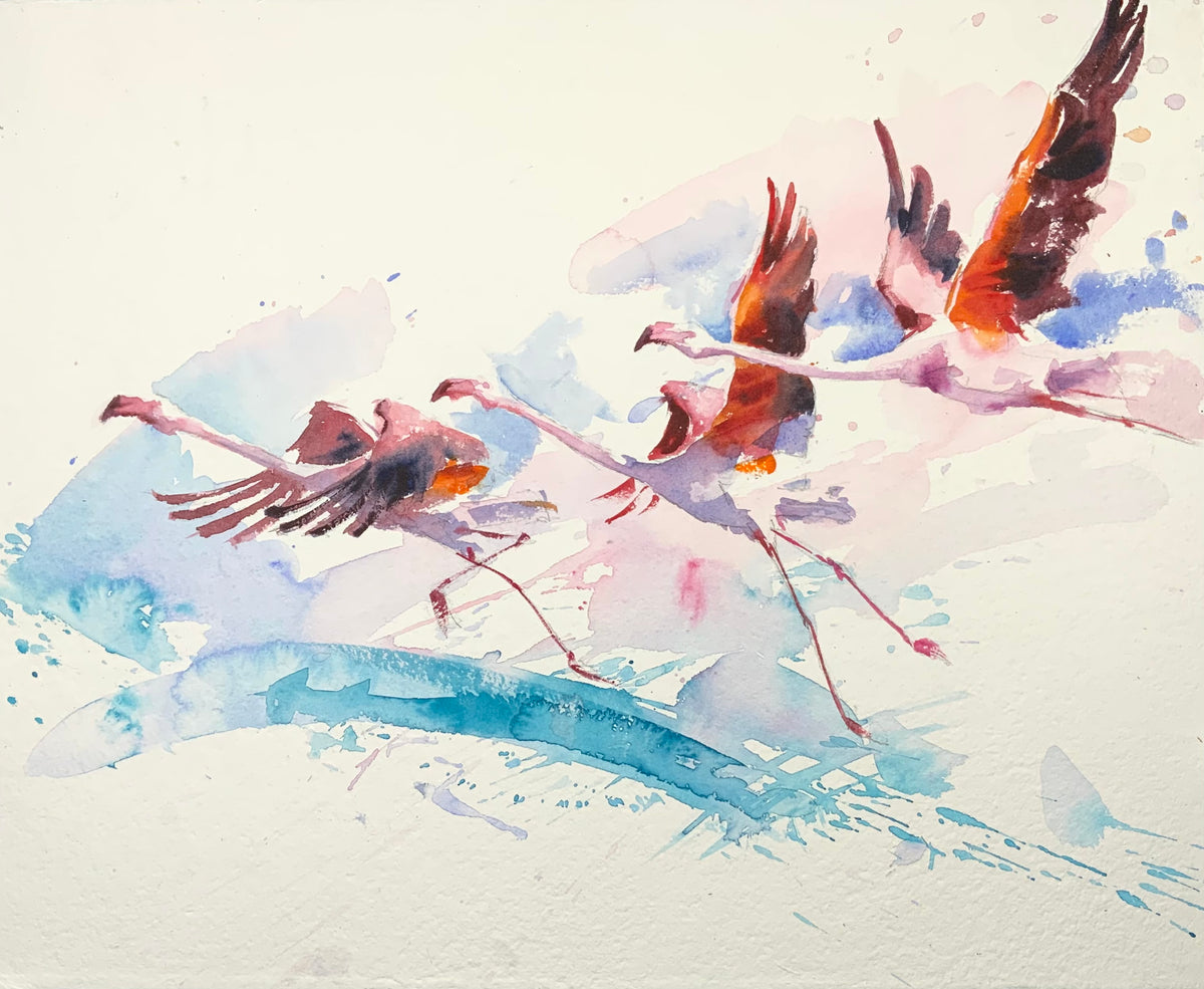 Flying Flamingos