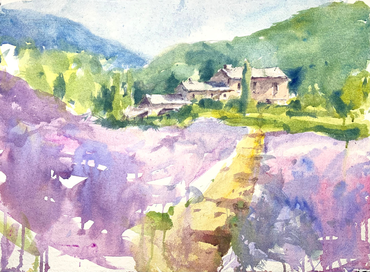 Lavender Fields